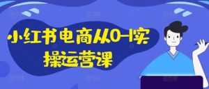 小红书电商从0-1实操运营课，小红书手机实操小红书/IP和私域课/小红书电商电脑实操板块等-网创项目