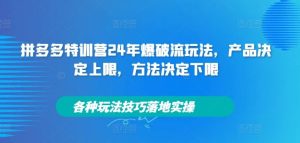 拼多多特训营24年爆破流玩法，产品决定上限，方法决定下限，各种玩法技巧落地实操-网创项目