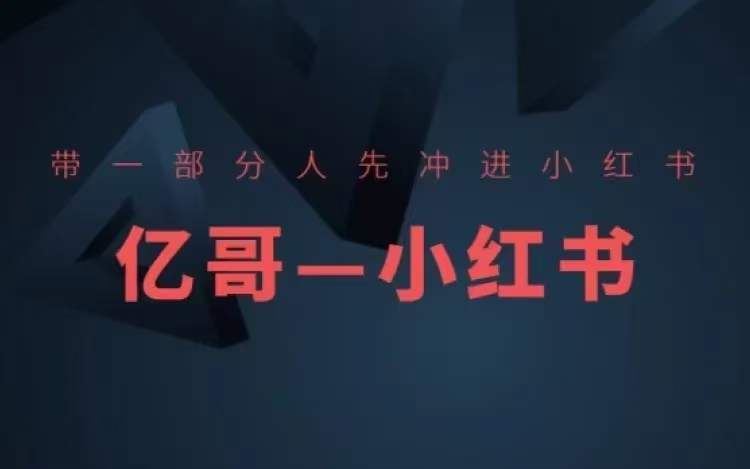 ​​带一部分人先冲进小红书，小红书开店、选品、爆款裂变-网创项目