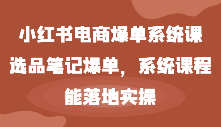 小红书电商爆单系统课-选品笔记爆单，系统课程，能落地实操-网创项目