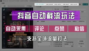 抖音自动截流玩法,利用一个软件自动采集、评论、点赞、私信,全域引流-网创项目