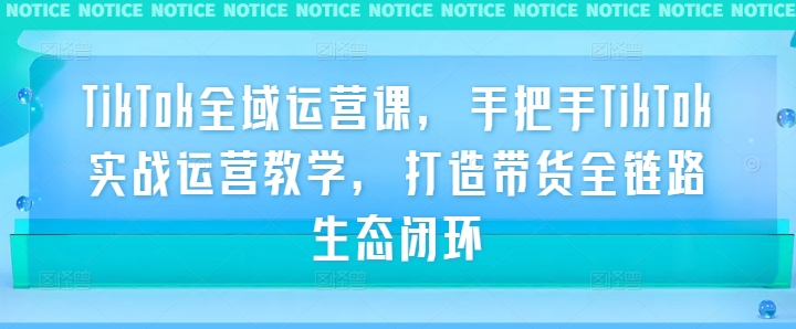 TikTok全域运营课，手把手TikTok实战运营教学，打造带货全链路生态闭环-网创项目