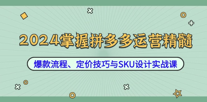 2024掌握拼多多运营精髓：爆款流程、定价技巧与SKU设计实战课-网创项目