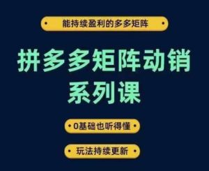 拼多多矩阵动销系列课，能持续盈利的多多矩阵，0基础也听得懂，玩法持续更新-网创项目