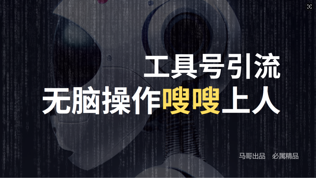 24年抖音最新工具号日引流300+创业粉，日入5000+-网创项目