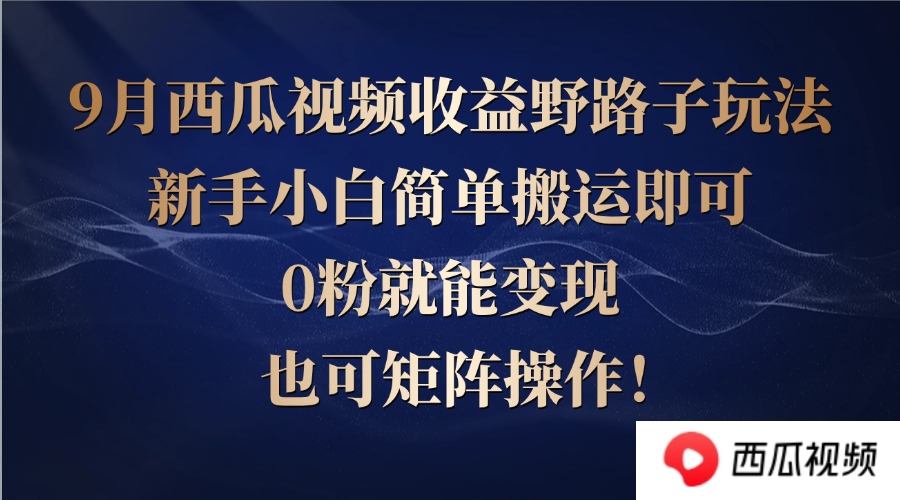 西瓜视频收益野路子玩法，新手小白简单搬运即可，0粉就能变现，也可矩…-网创项目