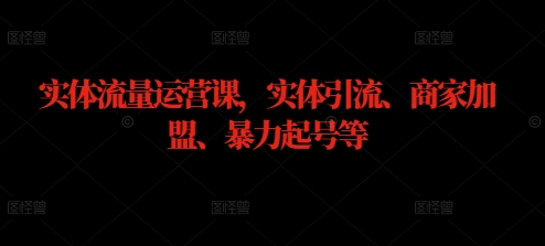 实体流量运营课，实体引流、商家加盟、暴力起号等-网创项目