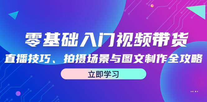 零基础入门视频带货：直播技巧、拍摄场景与图文制作全攻略-网创项目