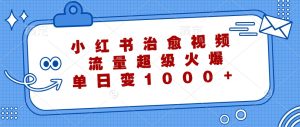 小红书治愈视频，流量超级火爆，单日变现1000+-网创项目