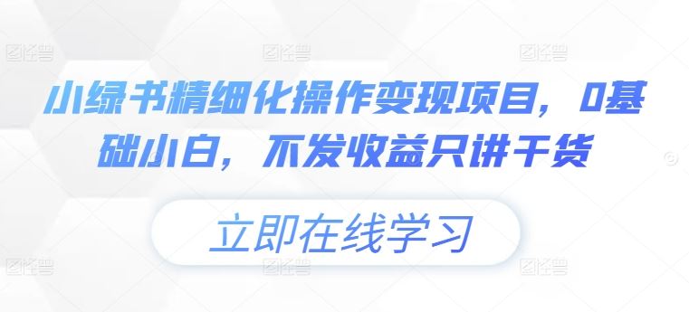 小绿书精细化操作变现项目，0基础小白，不发收益只讲干货-网创项目