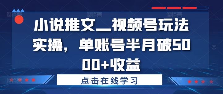 小说推文—视频号玩法实操，单账号半月破5000+收益-网创项目