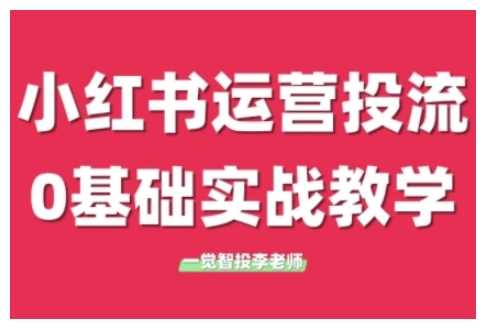 小红书运营投流，小红书广告投放从0到1的实战课，学完即可开始投放-网创项目