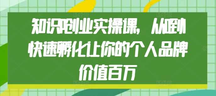 知识IP创业实操课，从0到1快速孵化让你的个人品牌价值百万-网创项目