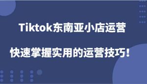 Tiktok东南亚小店运营，快速掌握实用的运营技巧！-网创项目