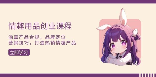 （13682期）情趣用品创业课程：涵盖产品合规，品牌定位，营销技巧，打造热销情趣产品-网创项目