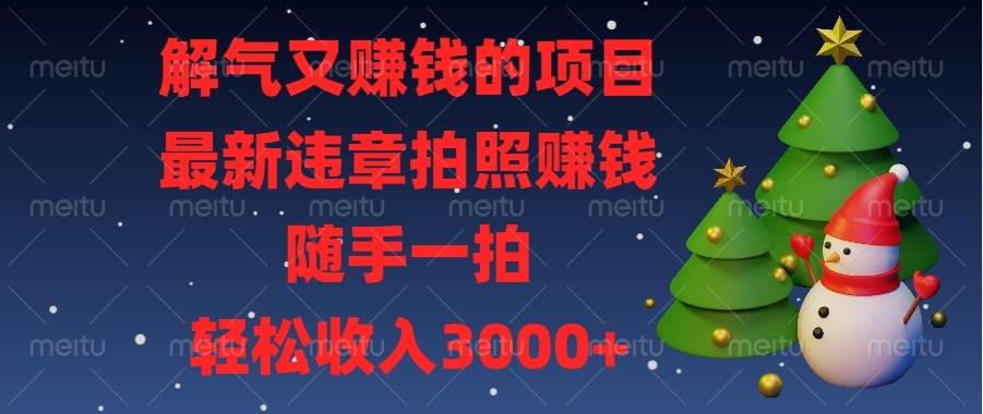 （13686期）解气又赚钱的项目，最新违章拍照赚钱，随手一拍，轻松收入3000+-网创项目