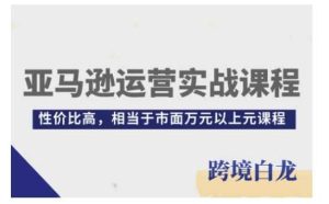 亚马逊运营实战课程，亚马逊从入门到精通，性价比高，相当于市面万元以上元课程-网创项目