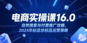 淘宝电商运营课16.0,自然搜索与付费推广攻略,2025年标品非标品运营策略-网创项目