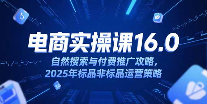 淘宝电商运营课16.0，自然搜索与付费推广攻略，2025年标品非标品运营策略-网创项目