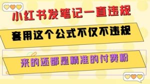 小红书发笔记一直违规,套用这个公式不仅不违规,来的还都是精准的付费粉-网创项目