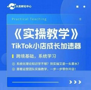 大卖家孵化中心TikTok实操课，TikTok小店成长加速器，跨境基础系统学习，一步一步带你开店-网创项目