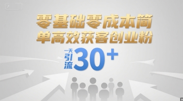 零基础零成本简单高效获客创业粉，一天引流30+-网创项目