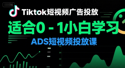 Tiktok短视频广告投放，适合0-1小白学习ADS短视频投放课-网创项目
