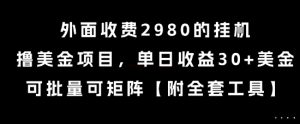 外面收费2980的挂G撸美金项目，单日收益30+美金，可批量可矩阵【揭秘】-网创项目