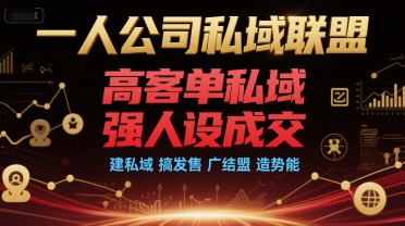 一人公司私域联盟，高客单私域，强人设成交，建私域 搞发售 广结盟 造势能-网创项目