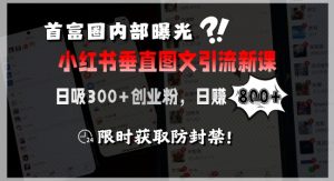 首富圈内部曝光小红书垂直图文引流新课,日吸300+创业粉,日入8张+,限时获取防封禁-网创项目