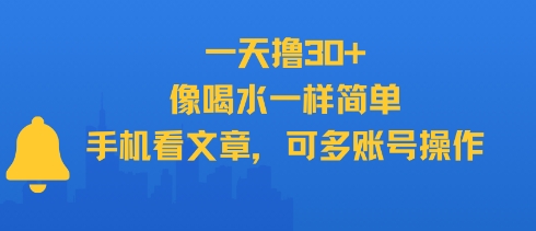 一天撸30+，像喝水一样简单，手机看文章，可多账号操作-网创项目