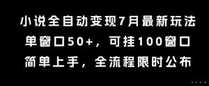 小说全自动变现7月玩法，单窗口50+，可挂100窗口，简单上手，全流程限时公布【揭秘】-网创项目