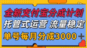 全新支付宝分成代运营，独家技术，收益稳定，单号月入3000＋-网创项目
