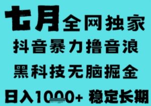 7月最新风口抖音无人直播撸音浪,长期稳定,非短期,全自动运行,低门槛无脑,日入1k+【揭秘】-网创项目