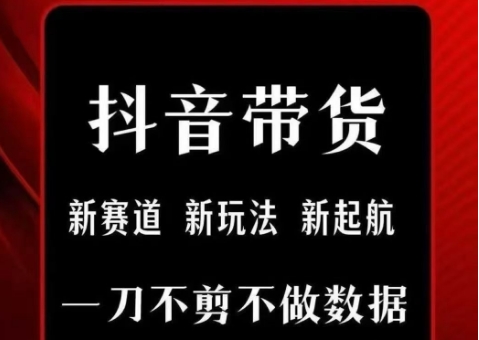 抖音短视频一刀不剪带货，不剪辑，不直播，每天发个视频，等着出单获取带货佣金-网创项目