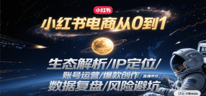 小红书电商从0到1:生态解析/IP定位/ 账号运营/爆款创作/直播带货/数据复盘/风险避坑-网创项目