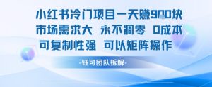 小红书冷门项目一天收益9张，市场需求大，0成本，可复制性强可以矩阵操作-网创项目