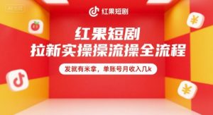 红果短剧拉新实操全流程，发就有米拿，单账号月收入几k-网创项目