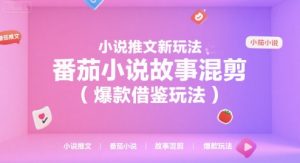 小说推文新玩法,番茄小说故事混剪(爆款借鉴玩法)-网创项目