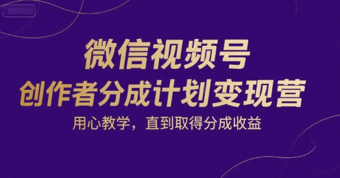 微信视频号创作者分成计划变现营，用心教学，直到取得分成收益-网创项目