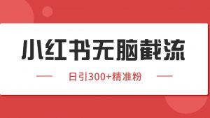 小红书截流同行客源，独家野路子获客玩法 日引200+暴力获客-网创项目