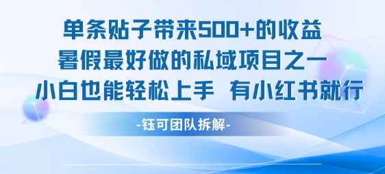 单条贴子带来5张的收益，暑假最好做的私域项目之一，小白也能轻松上手，有小红书就行-网创项目