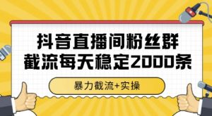 抖音直播间粉丝群截流，稳定采集数据全行业通用 2000条数据一天【揭秘】-网创项目