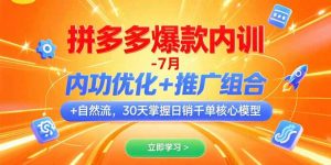 拼多多爆款内训-7月 内功优化+推广组合+自然流 30天掌握日销千单核心模型-网创项目