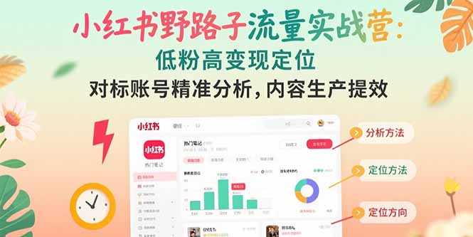 小红书野路子流量实战营：低粉高变现定位 对标账号精准分析 内容生产提效-网创项目