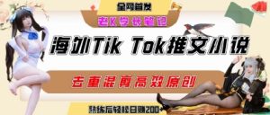 海外tiktok小说推文暴力项目,高停留率,高转化率,上手后一天搞顿饭钱不是问题-网创项目