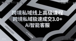 跨境私域线上高级课程，跨境私域极速成交3.0+Ai智能客服-网创项目