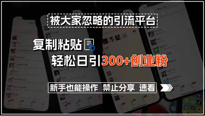 被大家忽略的引流平台，复制粘贴轻松日引300+创业粉，新手也能操作，禁…-网创项目