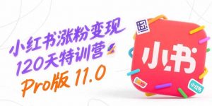 小红书涨粉变现120天特训营Pro版11.0：从0到1掌握平台运营,内容制作和变现-网创项目