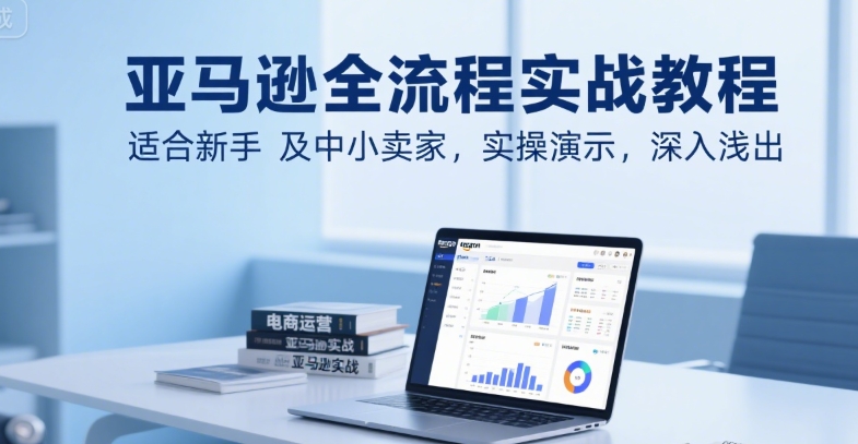 亚马逊全流程实战教程，适合新手及中小卖家，实操演示，深入浅出-网创项目